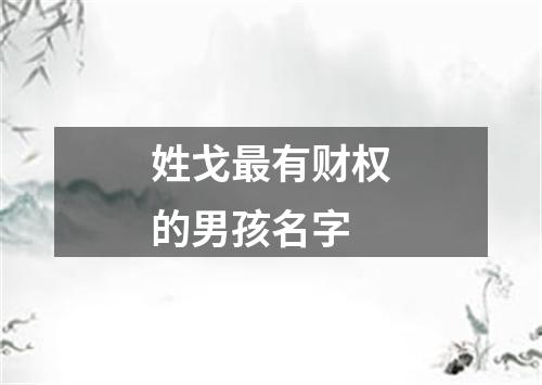 姓戈最有财权的男孩名字