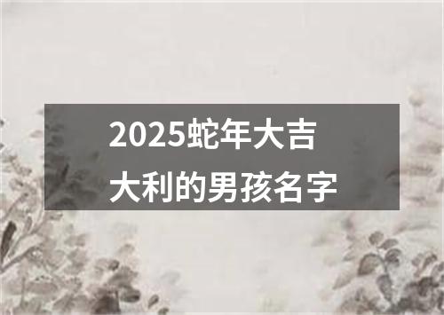 2025蛇年大吉大利的男孩名字