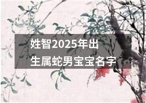 姓智2025年出生属蛇男宝宝名字