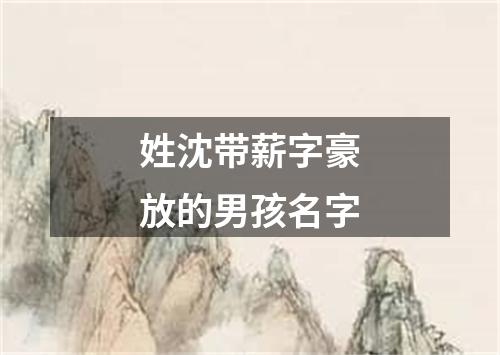 姓沈带薪字豪放的男孩名字