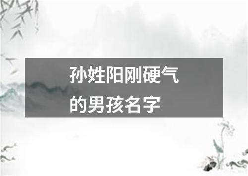 孙姓阳刚硬气的男孩名字