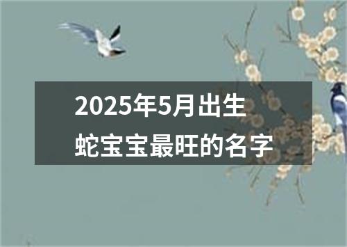 2025年5月出生蛇宝宝最旺的名字