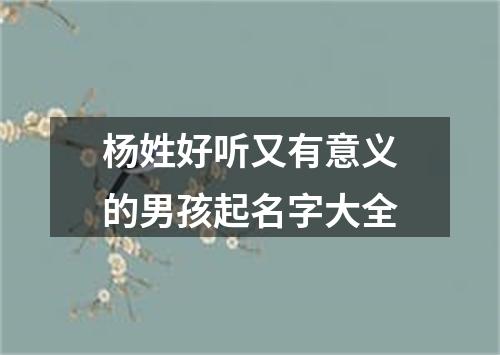 杨姓好听又有意义的男孩起名字大全