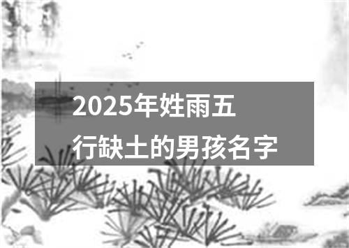 2025年姓雨五行缺土的男孩名字