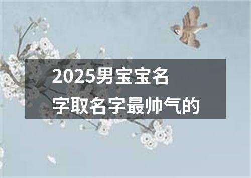2025男宝宝名字取名字最帅气的