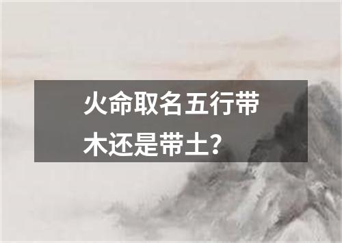 火命取名五行带木还是带土？