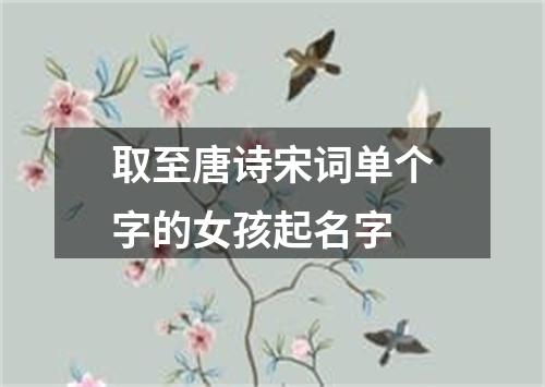 取至唐诗宋词单个字的女孩起名字