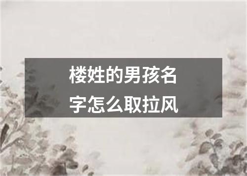 楼姓的男孩名字怎么取拉风