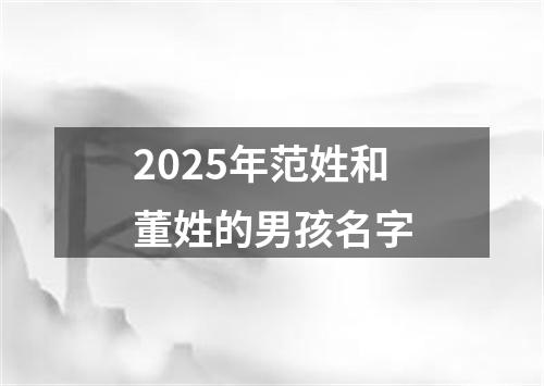 2025年范姓和董姓的男孩名字