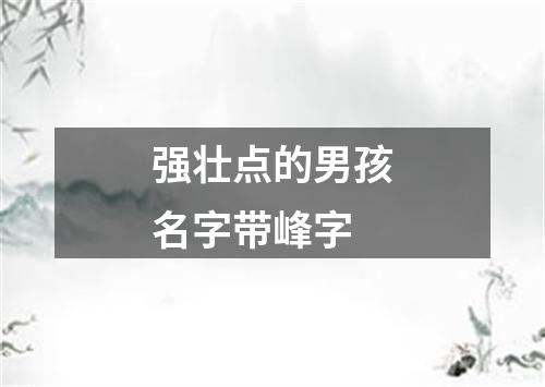 强壮点的男孩名字带峰字