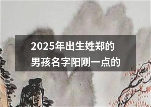 2025年出生姓郑的男孩名字阳刚一点的