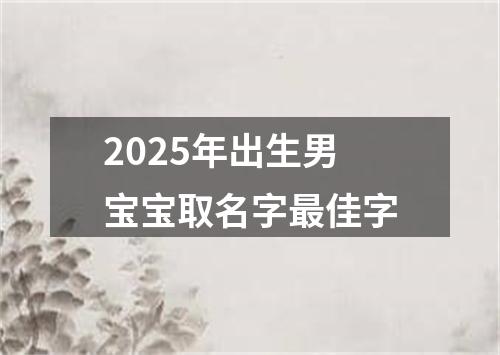 2025年出生男宝宝取名字最佳字