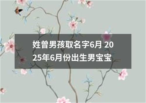 姓曾男孩取名字6月 2025年6月份出生男宝宝