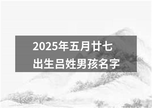 2025年五月廿七出生吕姓男孩名字