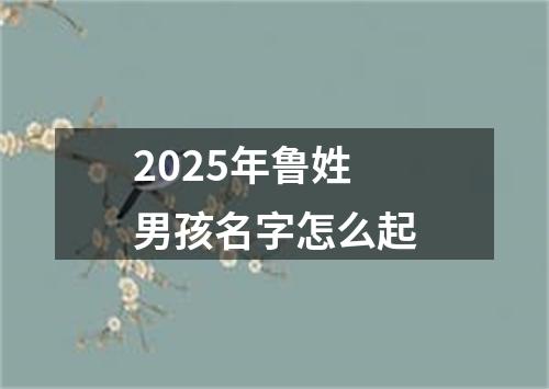 2025年鲁姓男孩名字怎么起