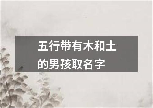 五行带有木和土的男孩取名字