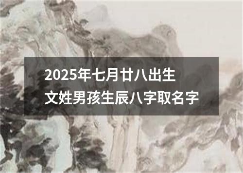 2025年七月廿八出生文姓男孩生辰八字取名字
