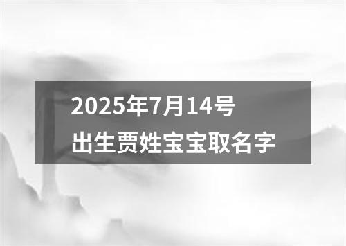 2025年7月14号出生贾姓宝宝取名字