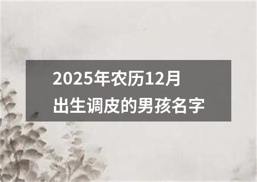 2025年农历12月出生调皮的男孩名字