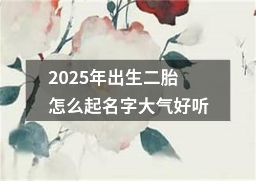 2025年出生二胎怎么起名字大气好听