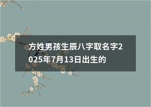 方姓男孩生辰八字取名字2025年7月13日出生的