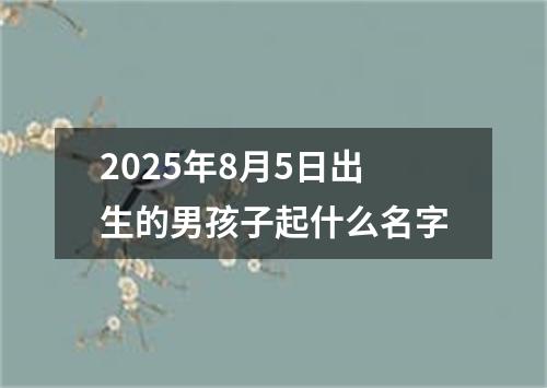 2025年8月5日出生的男孩子起什么名字