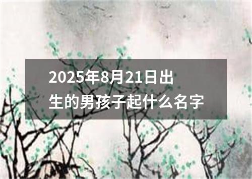 2025年8月21日出生的男孩子起什么名字