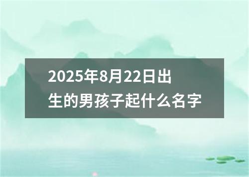 2025年8月22日出生的男孩子起什么名字