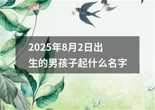2025年8月2日出生的男孩子起什么名字