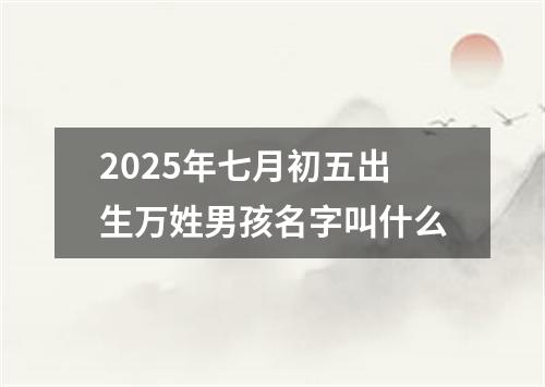 2025年七月初五出生万姓男孩名字叫什么