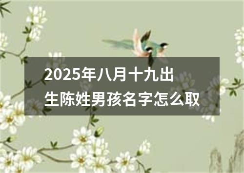 2025年八月十九出生陈姓男孩名字怎么取