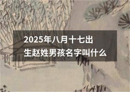 2025年八月十七出生赵姓男孩名字叫什么