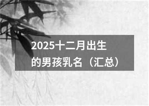 2025十二月出生的男孩乳名（汇总）