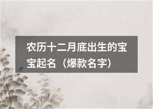 农历十二月底出生的宝宝起名（爆款名字）