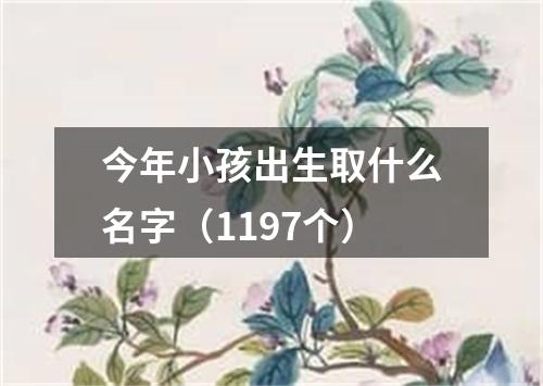 今年小孩出生取什么名字（1197个）