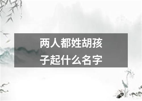 两人都姓胡孩子起什么名字