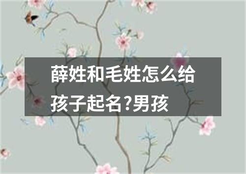 薛姓和毛姓怎么给孩子起名?男孩