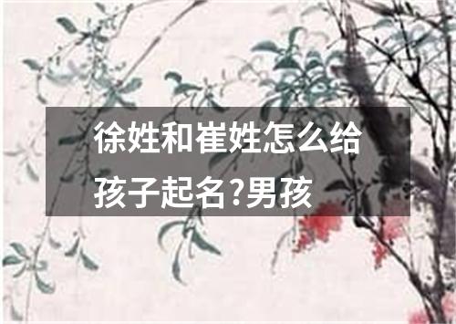 徐姓和崔姓怎么给孩子起名?男孩