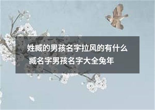 姓臧的男孩名字拉风的有什么 臧名字男孩名字大全兔年