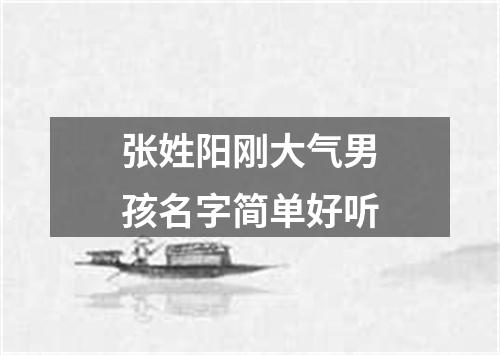 张姓阳刚大气男孩名字简单好听