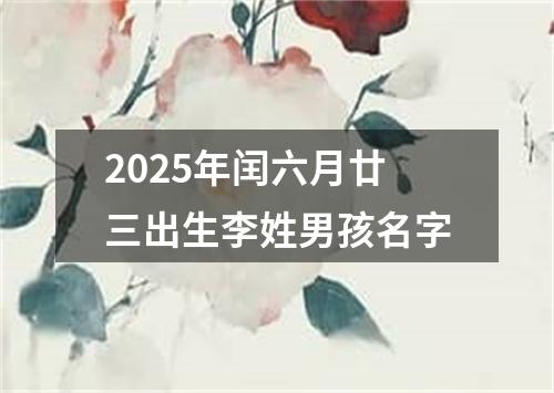 2025年闰六月廿三出生李姓男孩名字