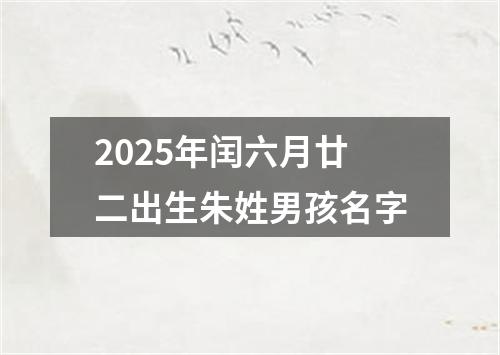 2025年闰六月廿二出生朱姓男孩名字