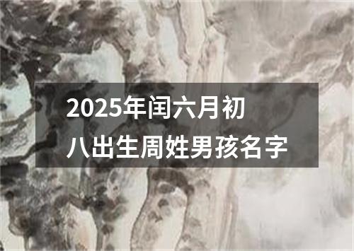 2025年闰六月初八出生周姓男孩名字