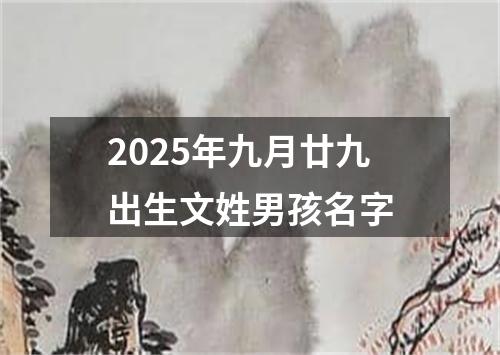 2025年九月廿九出生文姓男孩名字