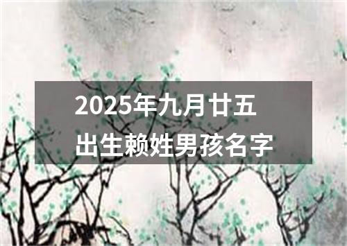 2025年九月廿五出生赖姓男孩名字