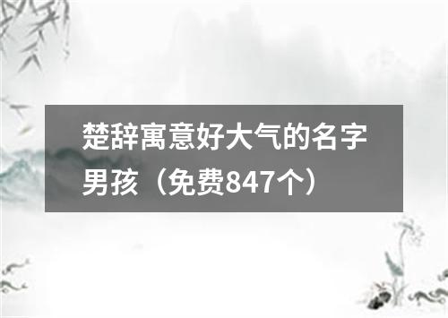 楚辞寓意好大气的名字男孩（免费847个）