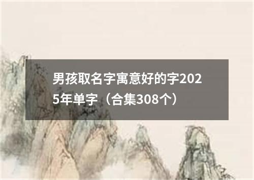 男孩取名字寓意好的字2025年单字（合集308个）