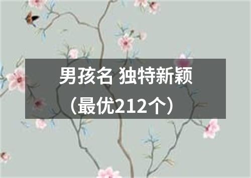 男孩名 独特新颖（最优212个）