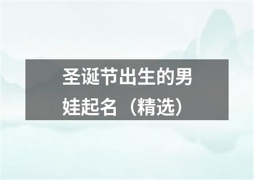 圣诞节出生的男娃起名（精选）
