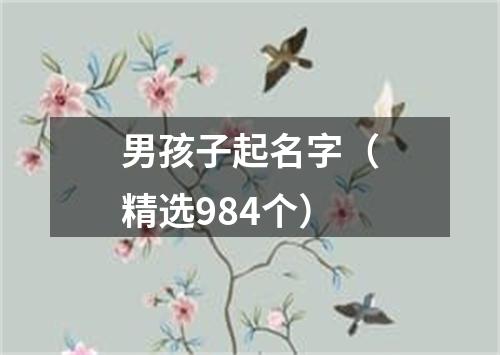 男孩子起名字（精选984个）